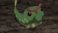 Caterpie as it appears in the anime (Image via The Pokemon Company)